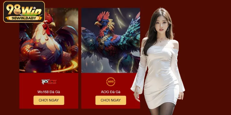 Đá gà – Sân chơi của những chiến kê dũng mãnh